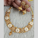Star India Gold Plated Pota Stone And Pearl Meenakari Necklace Set