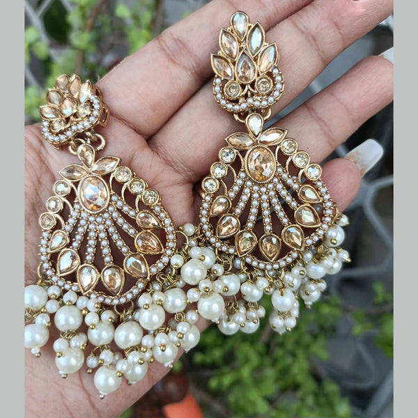 Exotica Collection Gold Plated Crystal And Pearls Dangler Earrings