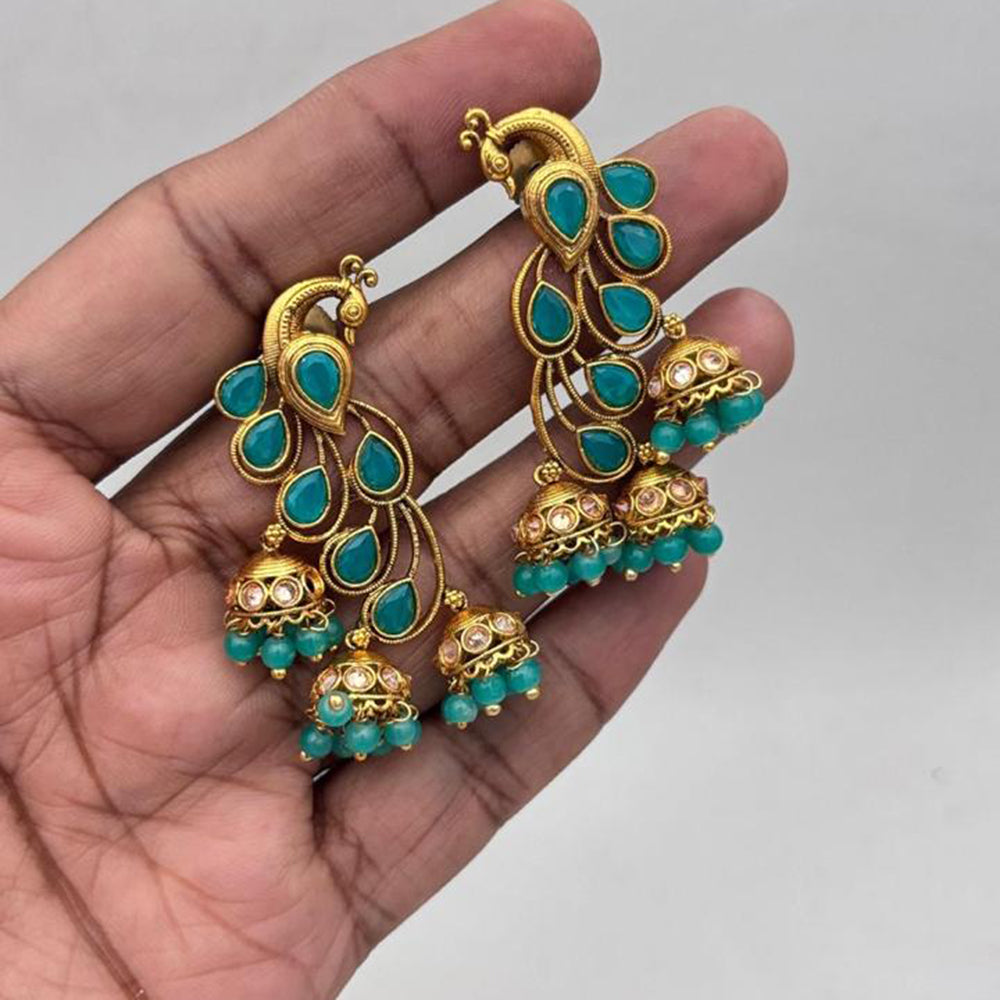 Jewel Addiction Gold Plated Pota Stone Jhumki Earrings