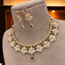 Jewel Addiction Traditional Pota Stone And Pearl Meenakari Choker Necklace Set