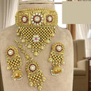 Jewel Addiction Designer Pota Stone And Pearl Choker Necklace Set 