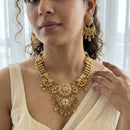 Jewel Addiction Premium Pota Stone Beads And Pearl Necklace Set