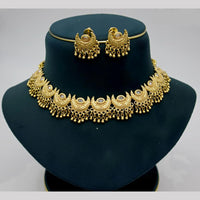 JCM Gold Plated Pota Stone And Beads Choker Necklace Set