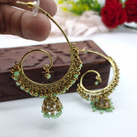 JCM Elegant Crystal Stone Pearl Drop Jhumki Earrings
