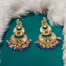 Darshana Jewels Crystal Stone Gold Plated Dangler Earrings