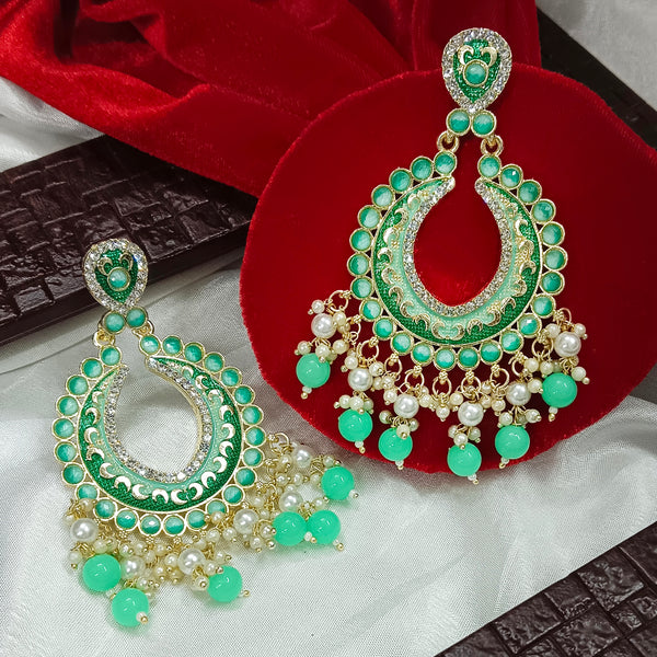 Darshana Jewels Gold Plated Meenakari Dangler Earrings