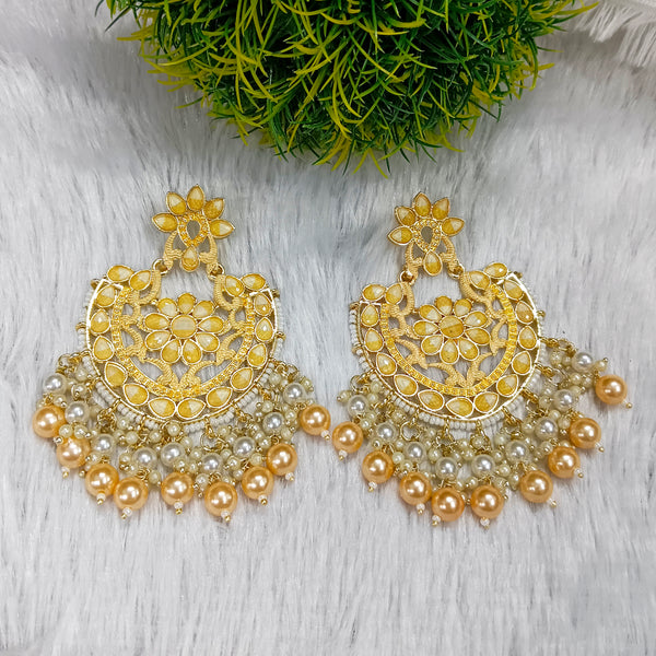 Darshana Jewels Gold Plated Meenakari Dangler Earrings