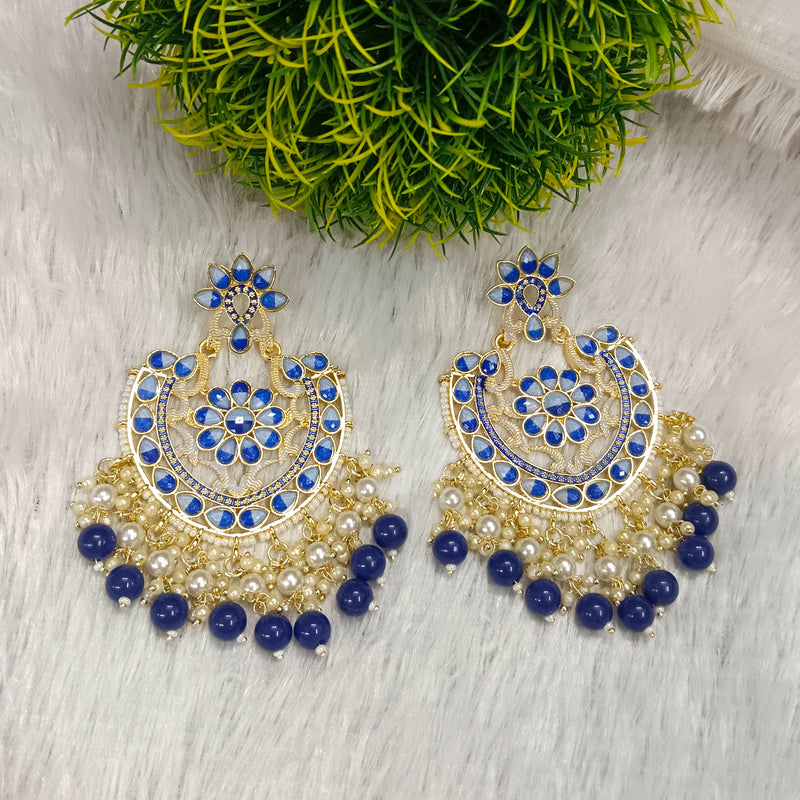 Darshana Jewels Gold Plated Meenakari Dangler Earrings