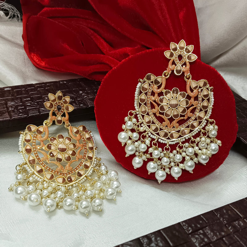 Darshana Jewels Gold Plated Meenakari Dangler Earrings