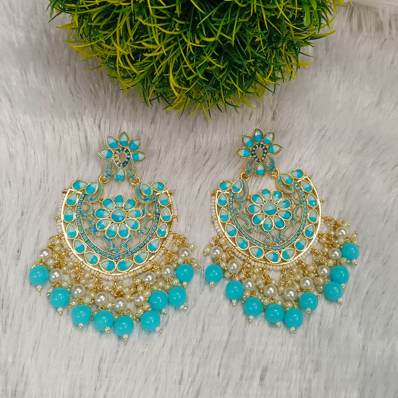 Darshana Jewels Gold Plated Meenakari Dangler Earrings