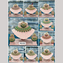 Rani Sati Jewels Gold Plated Crystal Stone And Beads Necklace Set