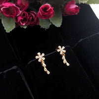 Aamrapali Fancy Austrian Stone Studs Earrings