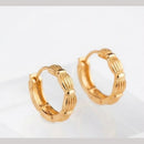 Aamrapali Fancy Studs Earrings