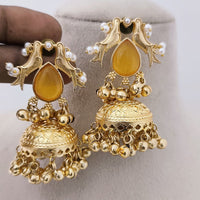 Marudhar Creations Matte Finish Pota Stone And Ghungroo Jhumki Earrings