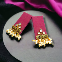 Bajana Lifestyle Gold Plated Women's Handmade Earring