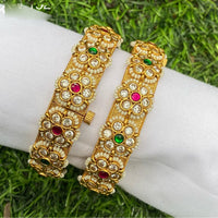 Amoliya Jewels Gold Plated Pota Stone Openable Bangle Set
