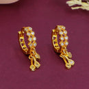Kalpna Sales Gold Plated Austrian Stone Dangler Earrings