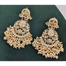 Rajwadi Collection Elegant Pota And Pearl Designer Dangler Earrings