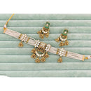 Rajwadi Collection Heritage Pota Stone And Pearl Choker Necklace Set