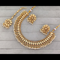 Rajwadi Collection Graceful Pearl Necklace Set With Earrings