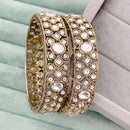 Rajwadi Collection Heritage Pota Stone Bangles Set