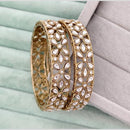 Rajwadi Collection Premium Pota Stone Bangles Set