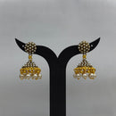Dariyalal Sales Royal Pearl Ethnic Jhumki Earrings (Pack of 12 & 24)