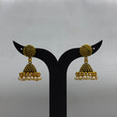 Dariyalal Sales Royal Pearl Ethnic Jhumki Earrings (Pack of 12 & 24)
