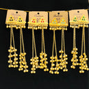 VM Imitation Look Kashmiri Pota Stone Kashmiri Ghungroo Dangler Earrings