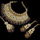 NAFJ Gold Plated Pota Stone And Pearls Meenakari Choker Necklace Set