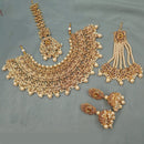 NAFJ Gold Plated Austrian Stone And Beads Necklace Set