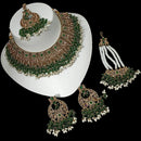 NAFJ Gold Plated Timeless Beauty Crystal And  Pearl Choker Necklace Set