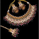 NAFJ Gold Plated Kundan And Pota Beads Meenakari Choker Necklace Set