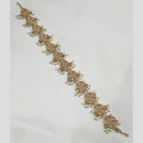 NAFJ Silver Plated Traditional Shiny Crystals And Pearls Sheeshphool