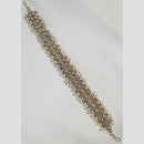 NAFJ Gold Plated Traditional Shiny Crystals And Pearls Sheeshphool
