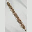 NAFJ Gold Plated Traditional Shiny Crystals And Pearls Sheeshphool
