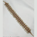 NAFJ Gold Plated Traditional Shiny Crystals And Pearls Sheeshphool