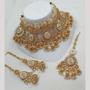 NAFJ Heavy Kundan And Pearl Meenakari Choker Necklace Set