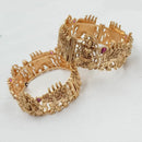 NAFJ Classic Pota Stone Elephant Design Openable Bangles Set