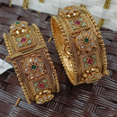 NAFJ Premium Crystal Stone Openable Bangles Set