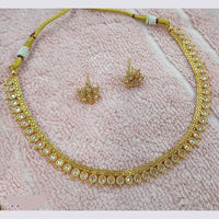 NAFJ Elegant Pota Stone And Crystal Stone Necklace Set
