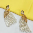 NAFJ Premium Pearl And Pota Stone Dangler Earrings