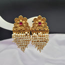 Reet Revaz Gold Plated Pota Stone And Pearl Dangler Earrings