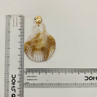Urthn Gorgeous Shell Drop Dangler Earrings for Women Stylish Beach & Festive Fashion Jewellery(Pack Of 3)