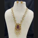 Sona Covering Delicate Pota Stone And Pearl Long Necklace Set