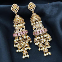 Sona Covering Elephant Austrian Stone And Pearl Jhumki Earrings