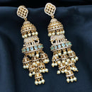 Sona Covering Elephant Austrian Stone And Pearl Jhumki Earrings
