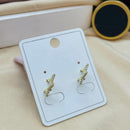 Klitz Stylish Stainless Steel Austrian Stone Studs Earrings
