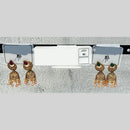 Raj Imitation Traditional Austrian Stone And Pearl Jhumki Earrings for Women (Set of 60)