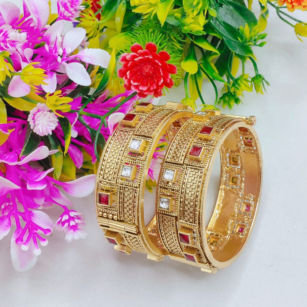 Tanish Art Jewellery Elegant Pota Stone Bangles Set for Women